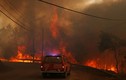 Hãi hùng cảnh cháy rừng hoành hành Bồ Đào Nha