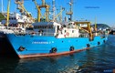 Vì sao Triều Tiên bắt giữ tàu cá Nga chở 17 thủy thủ?