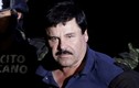 Truy lùng số tài sản “khủng” của trùm ma túy El Chapo