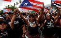 Biển người ăn mừng Thống đốc Puerto Rico từ chức