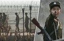 Binh sĩ Triều Tiên đào tẩu sang Hàn Quốc trong đêm