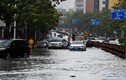 Bão Wipha đổ bộ Trung Quốc, đường phố chìm trong biển nước