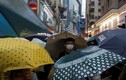Biểu tình ở Hong Kong: Tổng thống Trump cảnh báo Trung Quốc