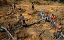 Thổ dân Brazil "lộ diện", thề sống chết bảo vệ rừng Amazon