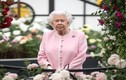 Kinh ngạc những điều bình thường nhưng “lạ hoắc” với Nữ hoàng Anh