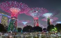 Kinh ngạc vẻ đẹp Singapore siêu thực, huyền ảo như viễn cảnh tương lai
