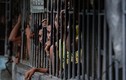 Bạo loạn ở nhà tù Philippines, 36 người thương vong
