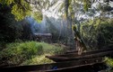 Cuộc sống của thợ săn thú rừng “bán thời gian” ở Congo