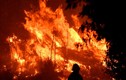 Cảnh cháy rừng ngùn ngụt ở California, 100.000 người sơ tán