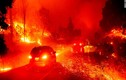 Cháy rừng như “ngày tận thế”, dân California cuống cuồng sơ tán