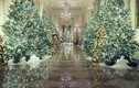 Nhà Trắng trang hoàng lộng lẫy đón Giáng sinh 2019, ai cũng phải trầm trồ