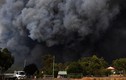 Hãi hùng thảm họa cháy rừng như “tận thế” tại Australia