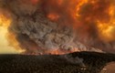 Hậu quả thảm khốc vụ cháy rừng dữ dội ở Australia