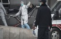 Châu Á chạy đua kiểm soát virus lạ chết người từ Trung Quốc