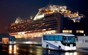 Cứ 1 giờ lại có 4-5 người trên du thuyền Diamond Princess nhiễm Covid-19