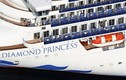 Australia đưa công dân trên tàu Diamond Princess về nước trong hôm nay