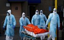 Mỹ có hơn 1.000 ca tử vong trong ngày, bang New York kêu cứu