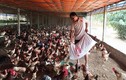 Khởi nghiệp 20 con gà mái, từ nghèo nhất làng thành tỷ phú