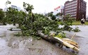 Toàn cảnh bão Haishen tàn phá Nhật Bản, hàng chục người bị thương