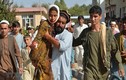 Đánh bom liều chết tại Afghanistan, ít nhất 30 người thương vong