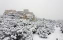 Tuyết rơi dày kỷ lục, Hy Lạp chìm trong mùa đông lạnh giá