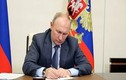 Tổng thống V. Putin: Ukraine đang bị biến thành đối cực của Nga