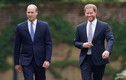 Bằng chứng anh em Hoàng tử William - Harry "gương vỡ lại lành"?