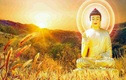 Nếu bạn phiền muộn hãy đọc 5 lời dạy bổ ích của Phật 