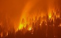 Ám ảnh cảnh tượng cháy rừng như "hỏa ngục" khắp thế giới