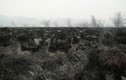 Cảnh tượng hoang tàn sau trận cháy rừng dữ dội khắp thế giới