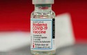 Moderna tuyên bố vaccine an toàn với trẻ 6-11 tuổi