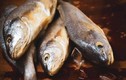 4 loại cá tốt nhất nên tránh xa kẻo rước bệnh vào thân