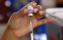 Tín hiệu khả quan về "vũ khí" vắc xin đối phó biến chủng Omicron