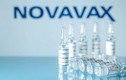 Vắc xin COVID-19 Novavax vừa được WHO phê duyệt hiệu quả sao?