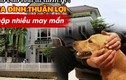 Đầu năm gặp 5 điềm lành này trong nhà dự báo lộc về căng ví