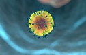 Mỹ thử nghiệm lâm sàng vaccine mRNA phòng HIV
