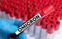Omicron có hơn 500 biến thể phụ nhưng không đáng lo ngại