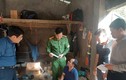  Lai Châu: Phát hiện gần 1 tạ mìn dưới phản ngủ của công nhân