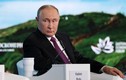 Lý do ông Putin ủng hộ bà Harris thắng cử Tổng thống Mỹ