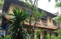 Ngôi nhà vườn 600 m2 mát rượi giữa phố cổ Hà Nội