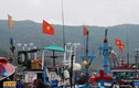 Tàu cá Việt bị tàu lạ đâm chìm trên biển Hoàng Sa