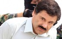 Tin nhắn ướt át giữa trùm ma túy El Chapo và mỹ nhân 