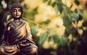 Phật dạy 7 cách bố thí chẳng tốn đồng nào cũng làm được 