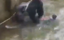 Hé lộ video khỉ đột che chở bé trai 4 tuổi trước khi bị bắn chết