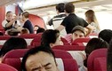 Hành khách đánh phi công, bạo loạn trên máy bay