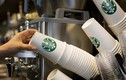 Starbucks lại bị kiện vì ăn gian lượng đồ uống