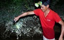 Trắng đêm theo chân “thợ săn” bắt cua trên sông Lam