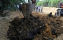 Formosa chôn lấp chất thải có chứa xyanua vượt quá quy định