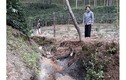 Dân kêu cứu vì cống thoát nước gây thiệt hại vườn cà phê