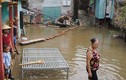 Thanh Hóa: Hàng chục căn nhà ngập sâu sau mưa